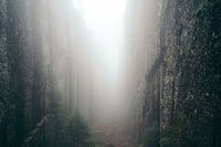 Foggy canyon
