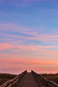 Pad naar de roze lucht