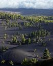 La Palma van Bob Vandenberg thumbnail