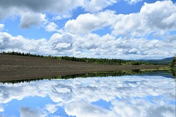 Dans  un champ  au printemps sur Claude Laprise