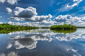 Spiegelung der Wolken im See