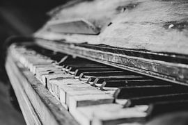 Broken piano by Myron van Ruijven