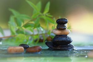 Balance