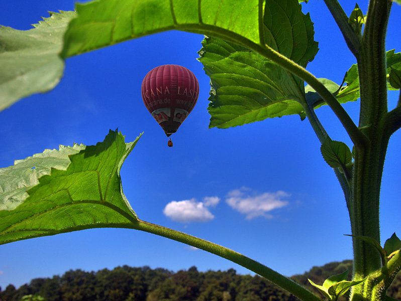 Montgolfière 4 par Edgar Schermaul