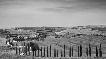Agriturismo Baccoleno, in de heuvels van Crete Senesi