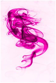 lila smook by Freddy Hoevers