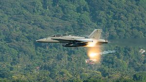 Passage à grande vitesse d'un F/A-18D Hornet malaisien.