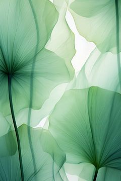 Flowerdance Botanica by Preet Lambon