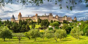 Carcassonne mit schöner Landschaft und Olivenbäumen