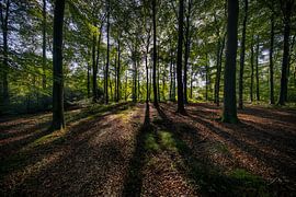 De Wildenborch, Vorden von Natuurlijk Achterhoek