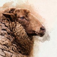 Dyed through the wool .....