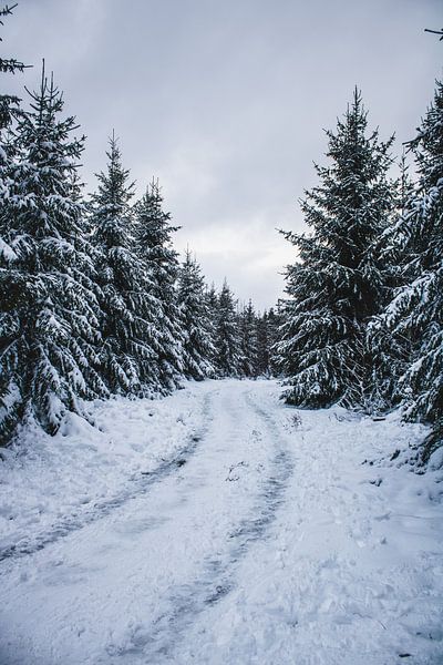 Road into nowhere von Hendrik Zahn