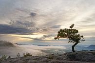 Elbsandsteingebirge am Abend von Ralf Lehmann Miniaturansicht
