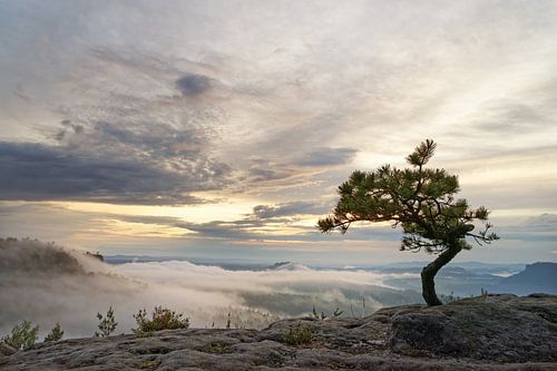 Elbe Sandstone Mountains in the evening by Ralf Lehmann