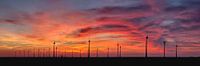 Windturbinen und alte Windmühle bei Eemshaven