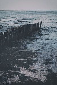 Landschap van de Waddenzee. Moddergat, Friesland