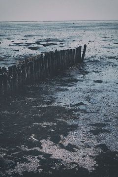 Landschap van de Waddenzee. Moddergat, Friesland van Denise Tiggelman