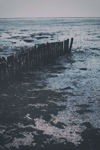 Landschap van de Waddenzee. Moddergat, Friesland