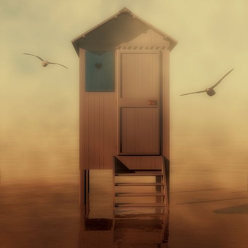 Landschap – Strandhuisje met meeuwen