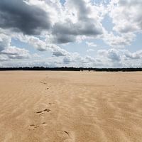 Voetstappen in het zand