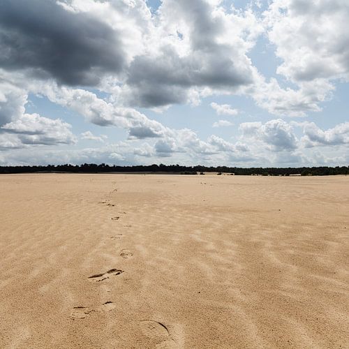 Footsteps in the Sand