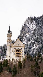 Kasteel Neuschwanstein, Duitsland
