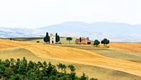 Toscane Landschap van willem kuijpers thumbnail