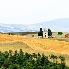 Toscane Landschap van willem kuijpers