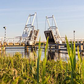 Brücke im Polder von Maarten Borsje