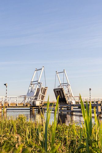 Pont dans le polder