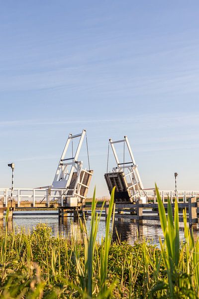 Brücke im Polder von Maarten Borsje