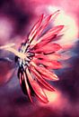 Glowing Pink Chrysanthemum van Studio Mirabelle thumbnail