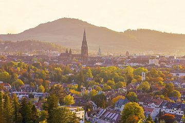 Freiburg im Herbst von Patrick Lohmüller