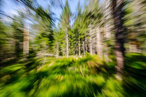 Zoomscape zomerbos, Alpen
