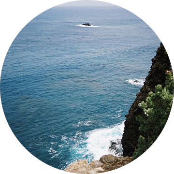 Uitzicht vanaf rotskust Madeira van Dian Schuurkamp