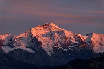 Alpengloren van Matthias Luescher