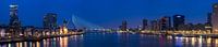 Rotterdam skyline van Edwin van Wijk thumbnail