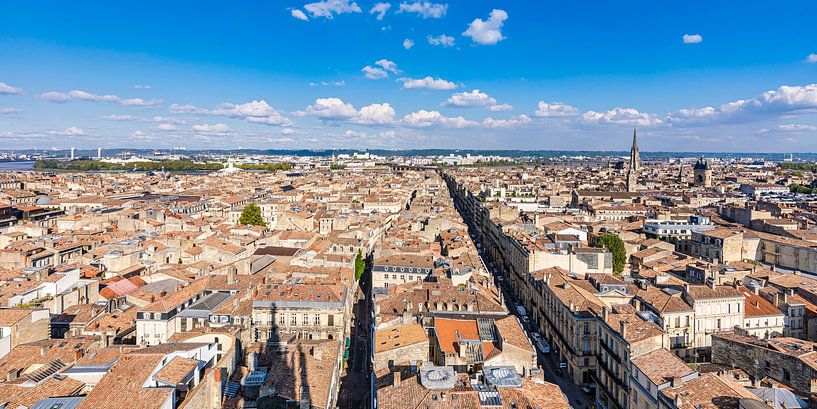 Uitzicht over de oude stad van Bordeaux in Frankrijk van Werner Dieterich