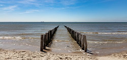 Strandpaaltjes op het strand