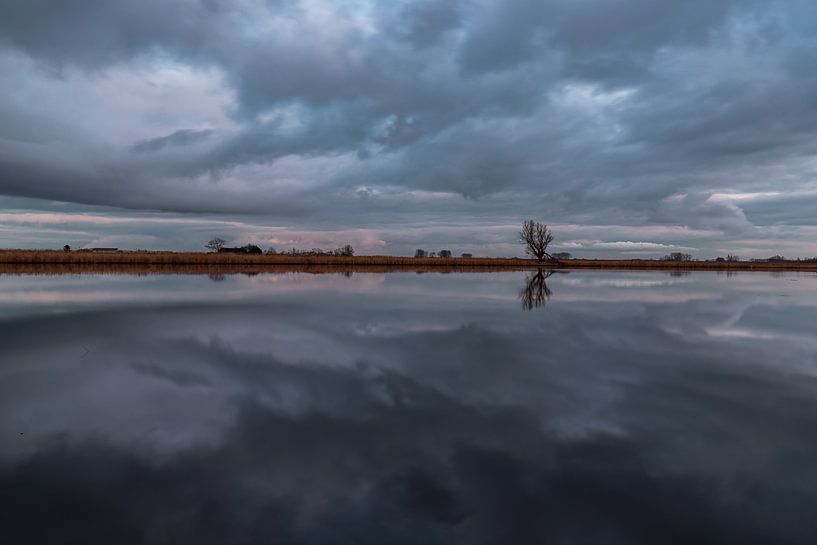 It's closing in by Wesley Kole