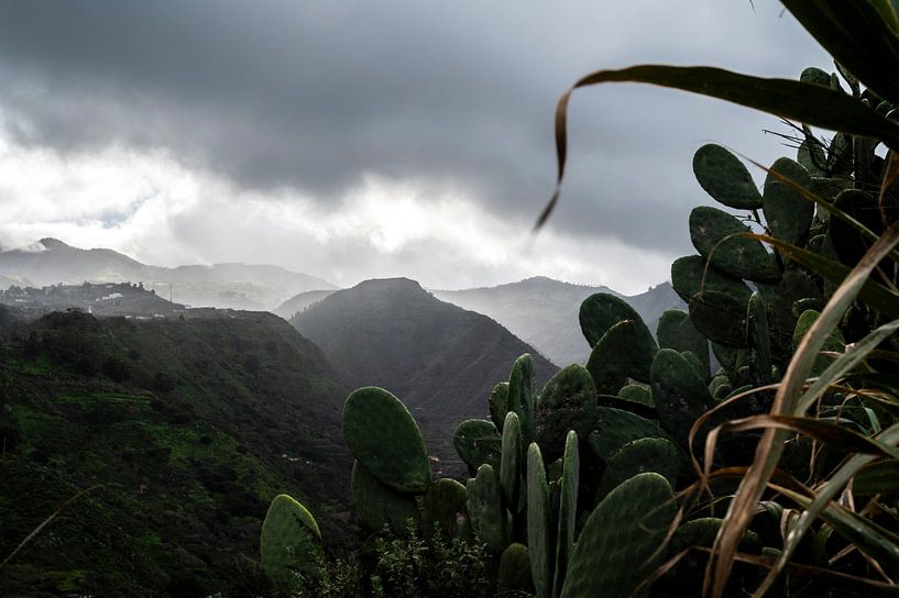 Gran Canaria, Mountains by anne hamers