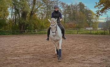 weißes Pferd und Reiterin beim Training auf einem Reitplatz
