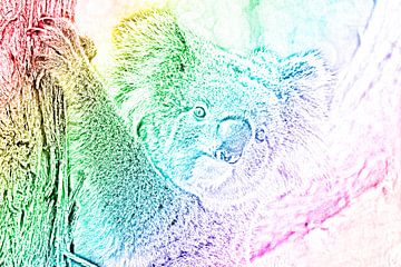 De trotse regenboog koala van Be More Outdoor