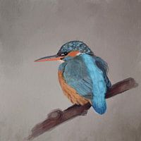 IJsvogel aquarel
