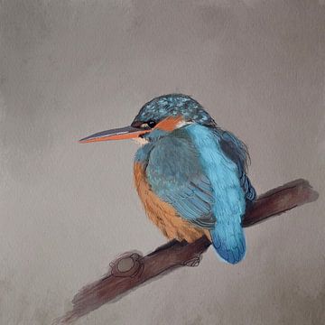 IJsvogel aquarel van Emmy Van der knokke