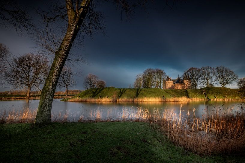 Bending tree van Ruud Peters