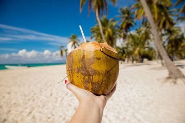 Kokosnuss am Strand von Saona (Dominikanische Republik) von Laura V