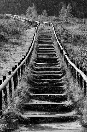 Treppenhaus Quintelooyen