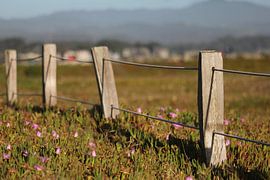 Fence at Half moon bay by Sanne Willemsen