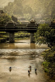 Vissesr in de rivier